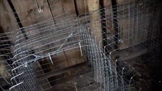 Строительство кроликофермы. Клетки, кормушки, поилки.