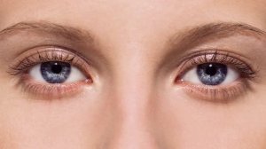 Сельдерей - "хрустящая вода!" Узнайте насколько сельдерей полезен для здоровья