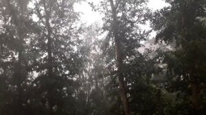 Гроза в Екатеринбурге 23.06.2022
