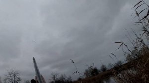 3 СЕЛЕЗНЯ в одном видео/Крутая охота на утку в Краснодарском крае!#охота #охотаназайца #охотанауток