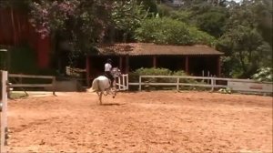 Veludo