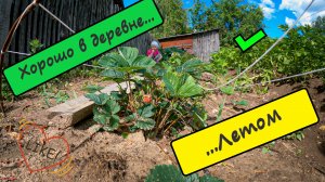 Хорошо в деревне летом