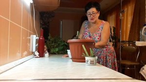 Моя бегония увядает// надо её спасать