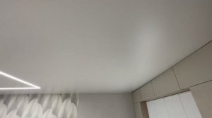 Натяжной потолок в Кухне-гостиной 25.5м2