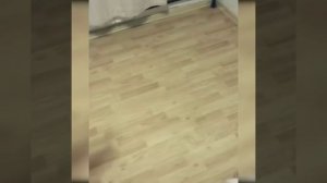 Муж подкаблучник