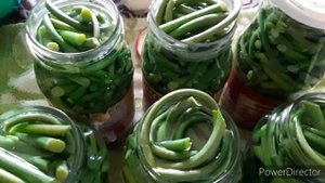 Мариную чесночные стрелки,и готовлю настой от вредителей.