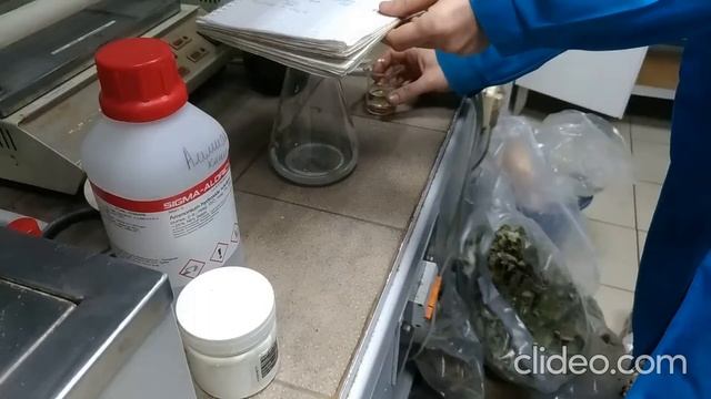 ЗАНИМАТЕЛЬНЫЕ ОПЫТЫ ПО ХИМИИ "Дым без огня" смотреть онлайн