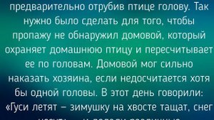 28 СЕНТЯБРЯ - НИКИТА ГУСЯТНИК! ТРАДИЦИИ. ПРИМЕТЫ. / "ТАЙНА СЛОВ"