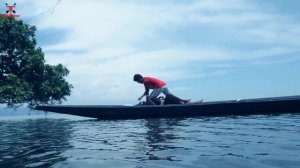 Shark Attack on Fishing Boats | fun made great white shark attack video