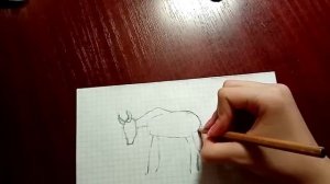 Учимся рисовать. Антилопа гну.\ Кисточка и краска