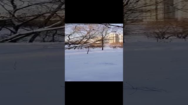 Москва неприятная ситуация