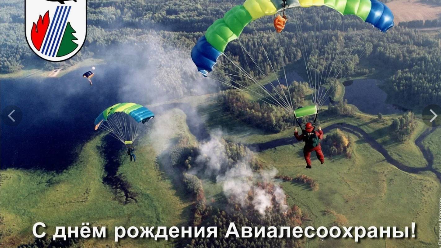 День образования авиалесоохраны России