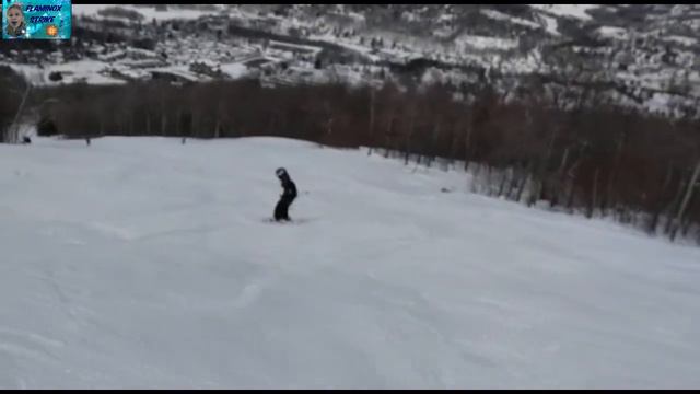 Катание с черной, двойной черной трасс и трассы с кочками в США Горные лыжи 2018 смотреть онлайн