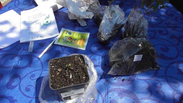 ОбзОр поСЫлкИ .Орхидея ВеНЕрин БАшМачок.Заказ из Питомника. Обзор сада. смотреть онлайн