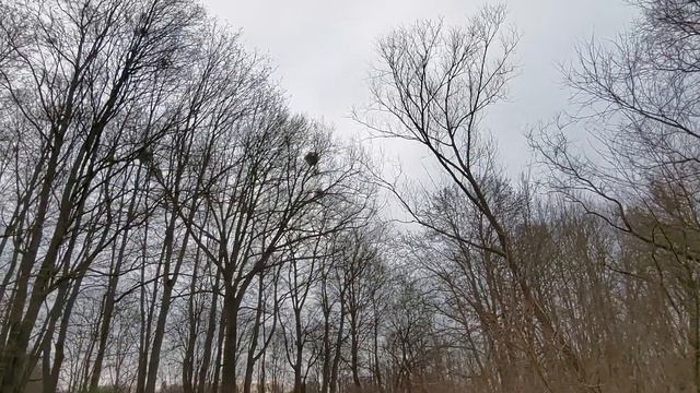 Николаев сегодня. 6 МИНУТ НАЗАД СТАЛО ИЗВЕСТНО! По-новому?! Новости Николаева смотреть онлайн