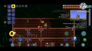 Как построить дома для НПС в Terraria: Лучшие советы