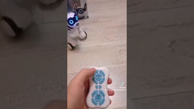 Робот пёс
