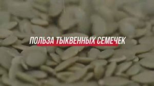 ТЫКВЕННЫЕ СЕМЕЧКИ