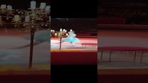 СОБАЧИЙ БАЛЕТ И КОНЕЧНО ЖЕ КАБАН !!!!!