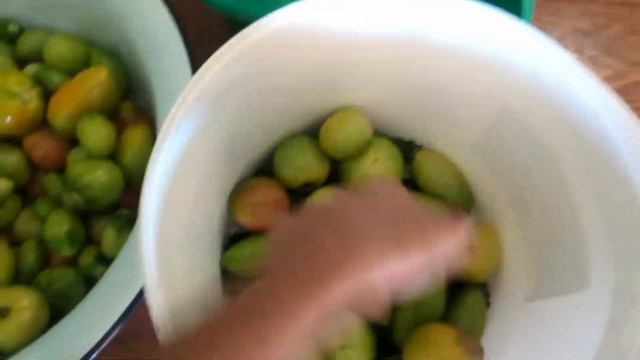 Зелёные бочковые помидоры! Лучшая закуска из зелёных помидор/