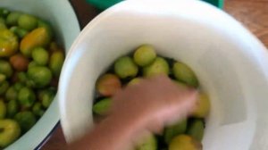 Зелёные бочковые помидоры! Лучшая закуска из зелёных помидор/