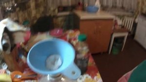 Разводим МОРИЛКУ на водной основе / Своими руками