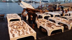 Рыбный рынок в Аджмане Объединенные Арабские Эмираты - Ajman Fish Market UAE