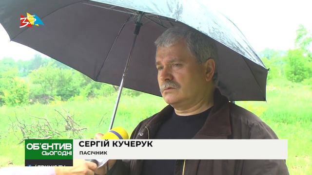 Объектив 1 06 20 В Первомайском районе массово гибнут пчелы