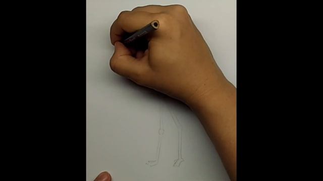 Как нарисовать фламинго