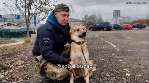 Скуби из приюта «Щербинка» уехал домой! Собака Юзао