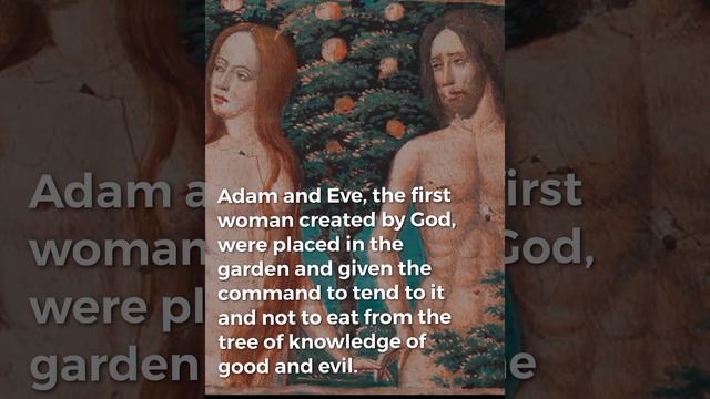 Adam, The First Man #adam #man #bible