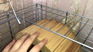 НОВАЯ КЛЕТКА ДЛЯ ДЕГУ. Дегу лысеют?!