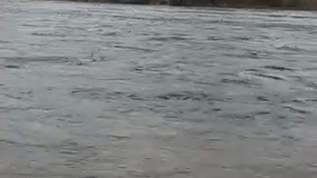 Палочка,веревочка,крючок,червячок. смотреть онлайн