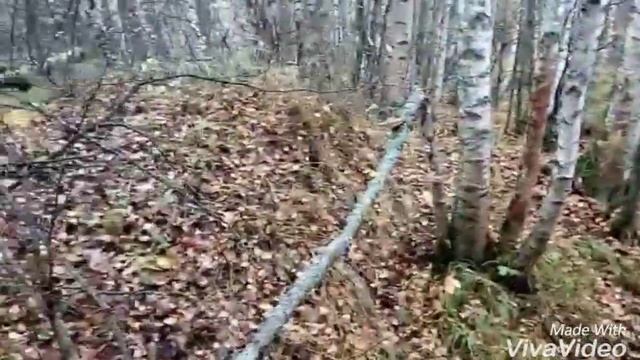 Offroad.... ТагАЗ Тагер на военных мостах всех рвёт!!! смотреть онлайн