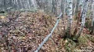 Offroad.... ТагАЗ Тагер на военных мостах всех рвёт!!!