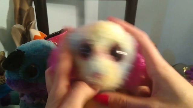 HUGE UNBOXING HAUL!  BEANIE BOOS  MORE!