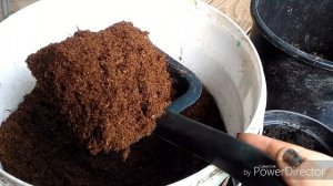 Мульчирование роз в зиму,удобрение, уход за розой,для пышного цветения на будущий год