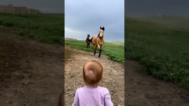 A young child playfully interacts with a horse, sharing laughter and joy in the meadow. 🐴😄 #child