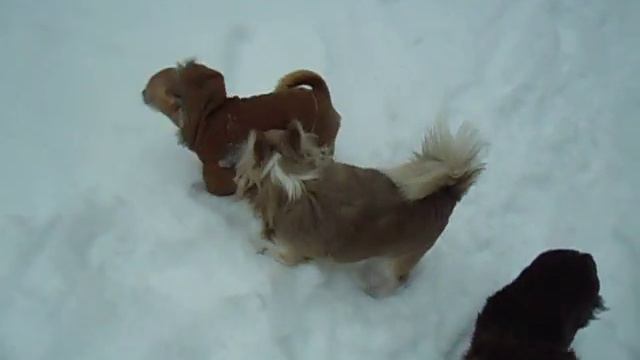 утро и видео прогулки 033.AVI смотреть онлайн