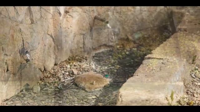 Санаторий "Бакирово". Санкур Татарстана. Открывай Россию с АЛЕАН смотреть онлайн