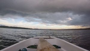 Лодка пингвин+tohatsu18