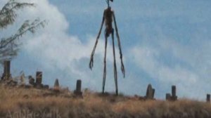 Звуки транслируемые Сиреноголовым. Звуки издаваемые Сиреноголовым. Звуки Сиреноголового