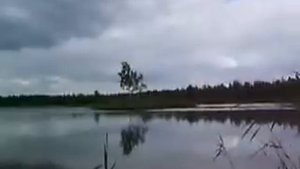 поставить сеть на озере