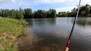 Дикий карп чуть не вымотал всю леску. Трофейный карп на поплавок.