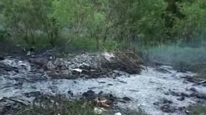 Лесные пожары. Июль 2010 год.