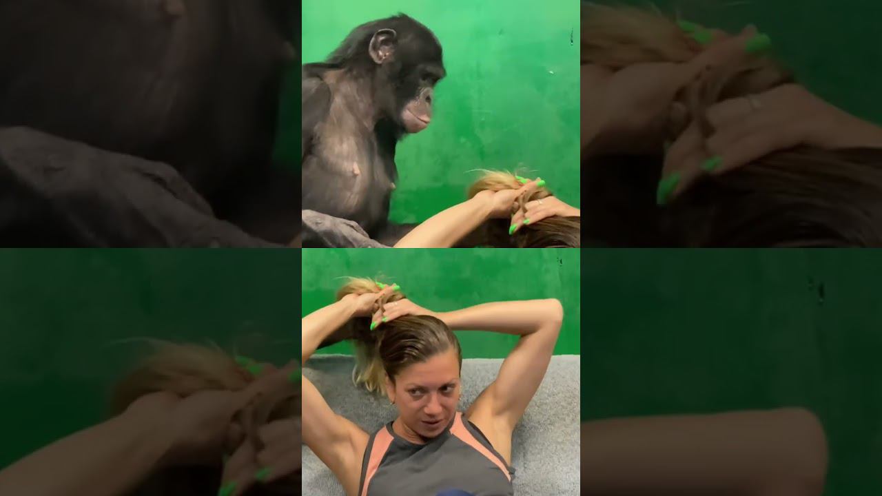 Поцеловал обезьяну прямо в нос смотреть онлайн