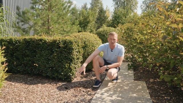 МУЛЬЧИРОВАНИЕ в ландшафтном дизайне. Какую мульчу использовать на участке? смотреть онлайн