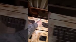 Клетка для кроликов многоярусная | Для декоративных кроликов