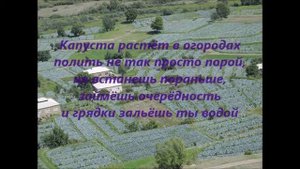 Стихи про Хлют.