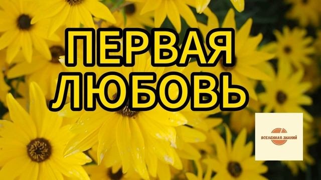 061 первая любовь